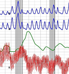 Hesperia California polygraph test